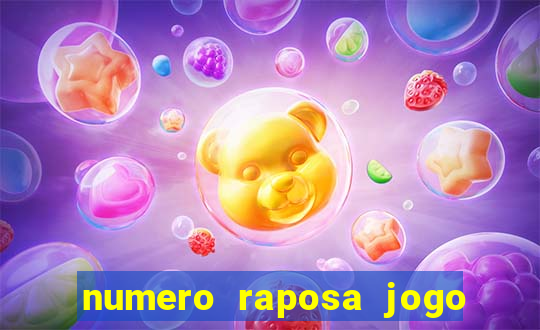 numero raposa jogo do bicho